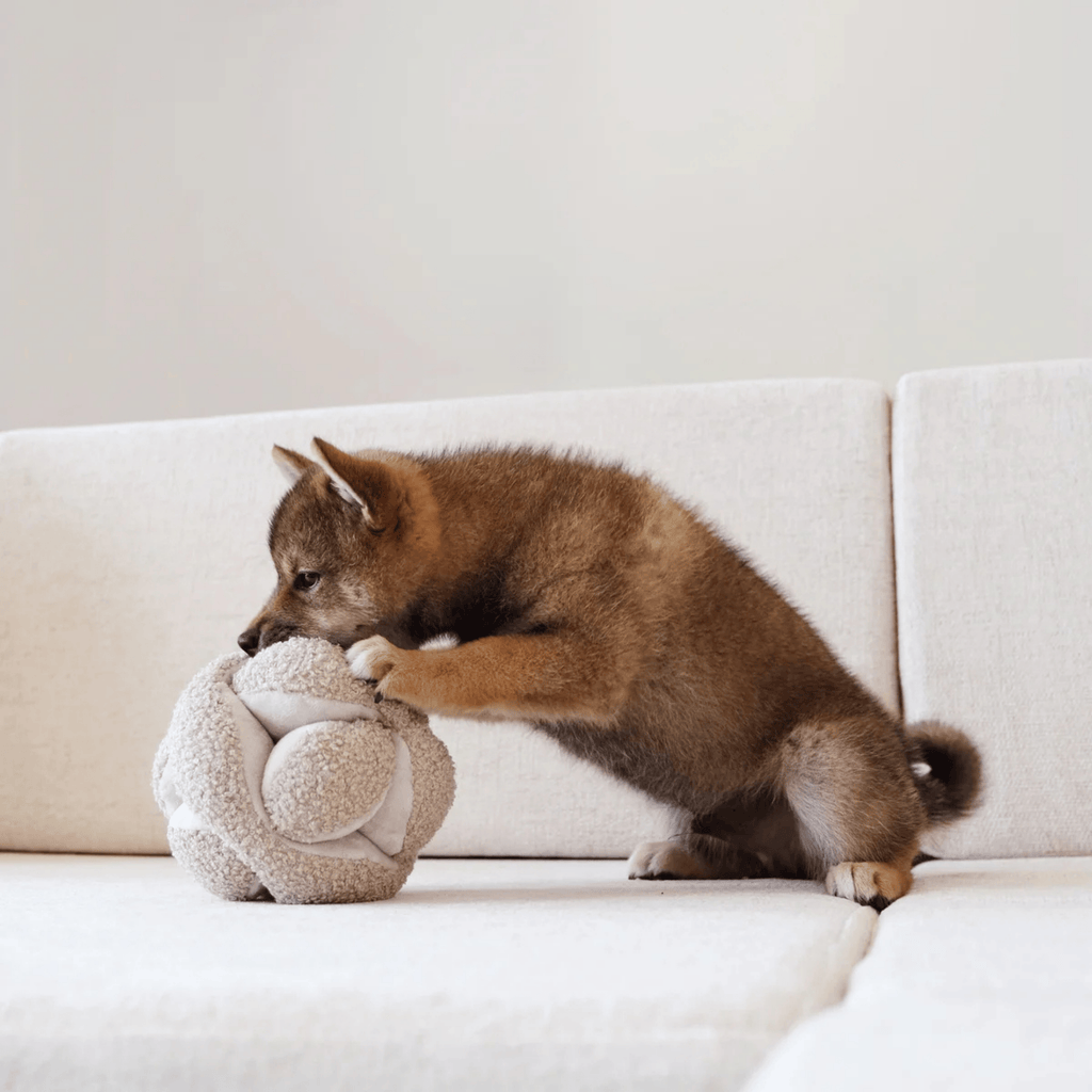 Lambwolf Collective - MONTI OAT