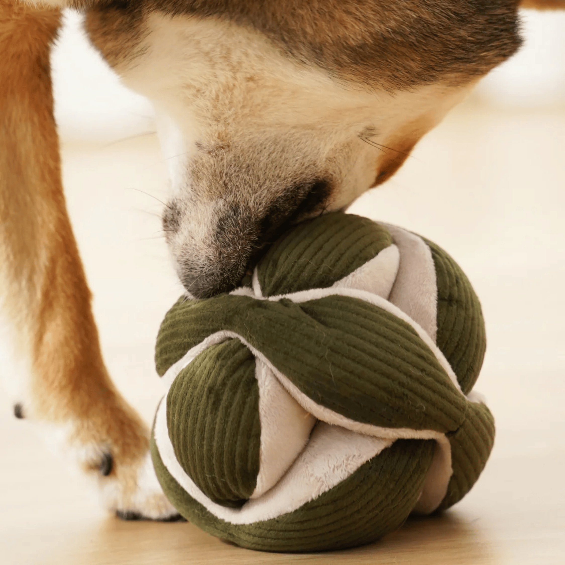 Lambwolf Collective - MONTI PINE S