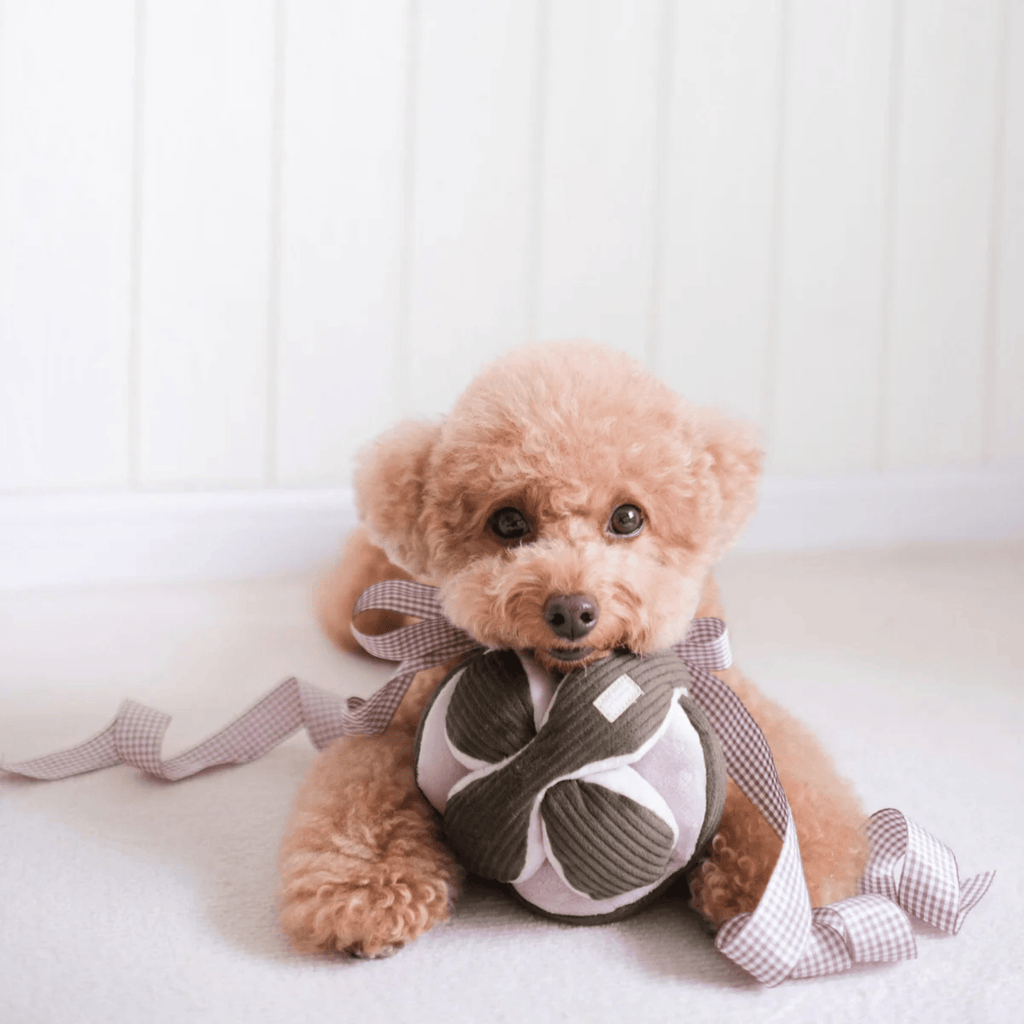 Lambwolf Collective - MONTI PINE S