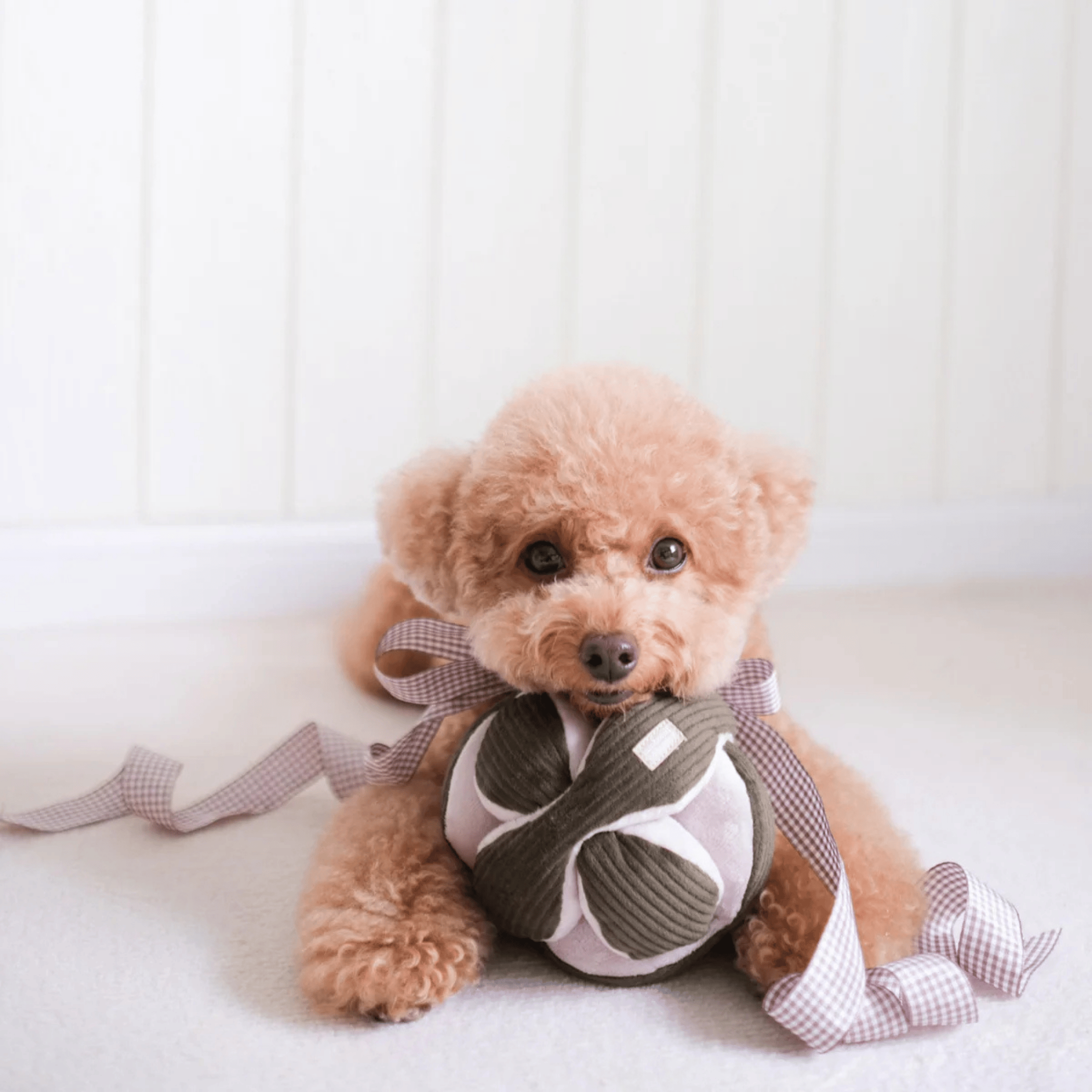 Lambwolf Collective - MONTI PINE S