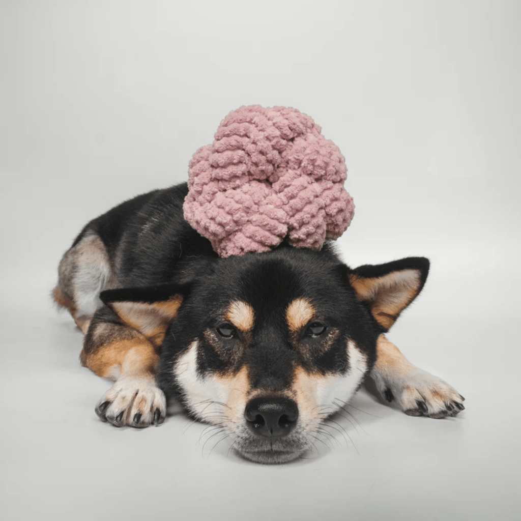 Lambwolf Collective - NOUNOUNOU ROSE