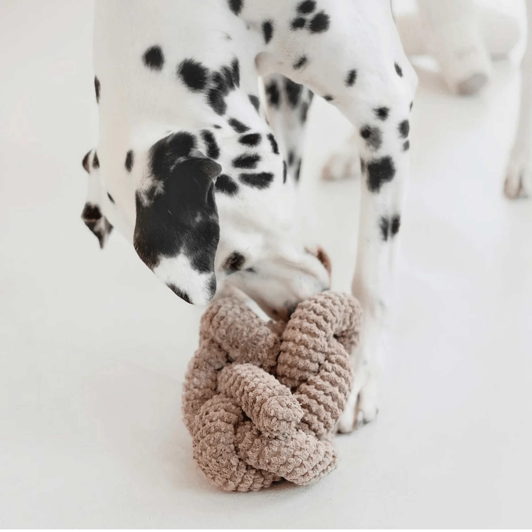 Lambwolf Collective - NOU TAUPE