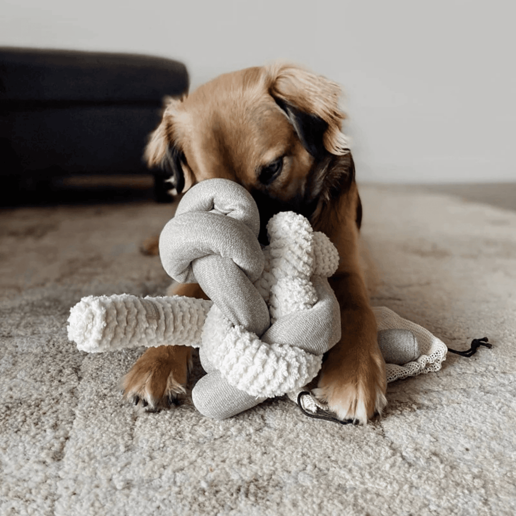 Lambwolf Collective - NOU CREAM