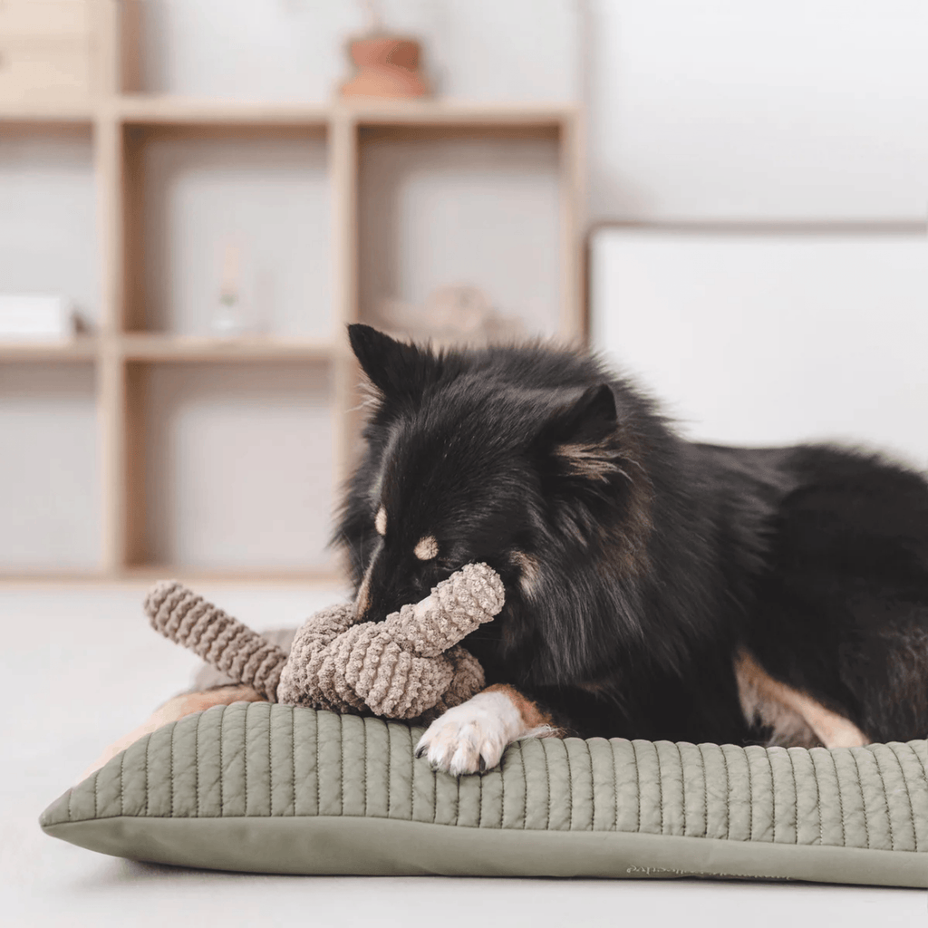 Lambwolf Collective - NOU TAUPE