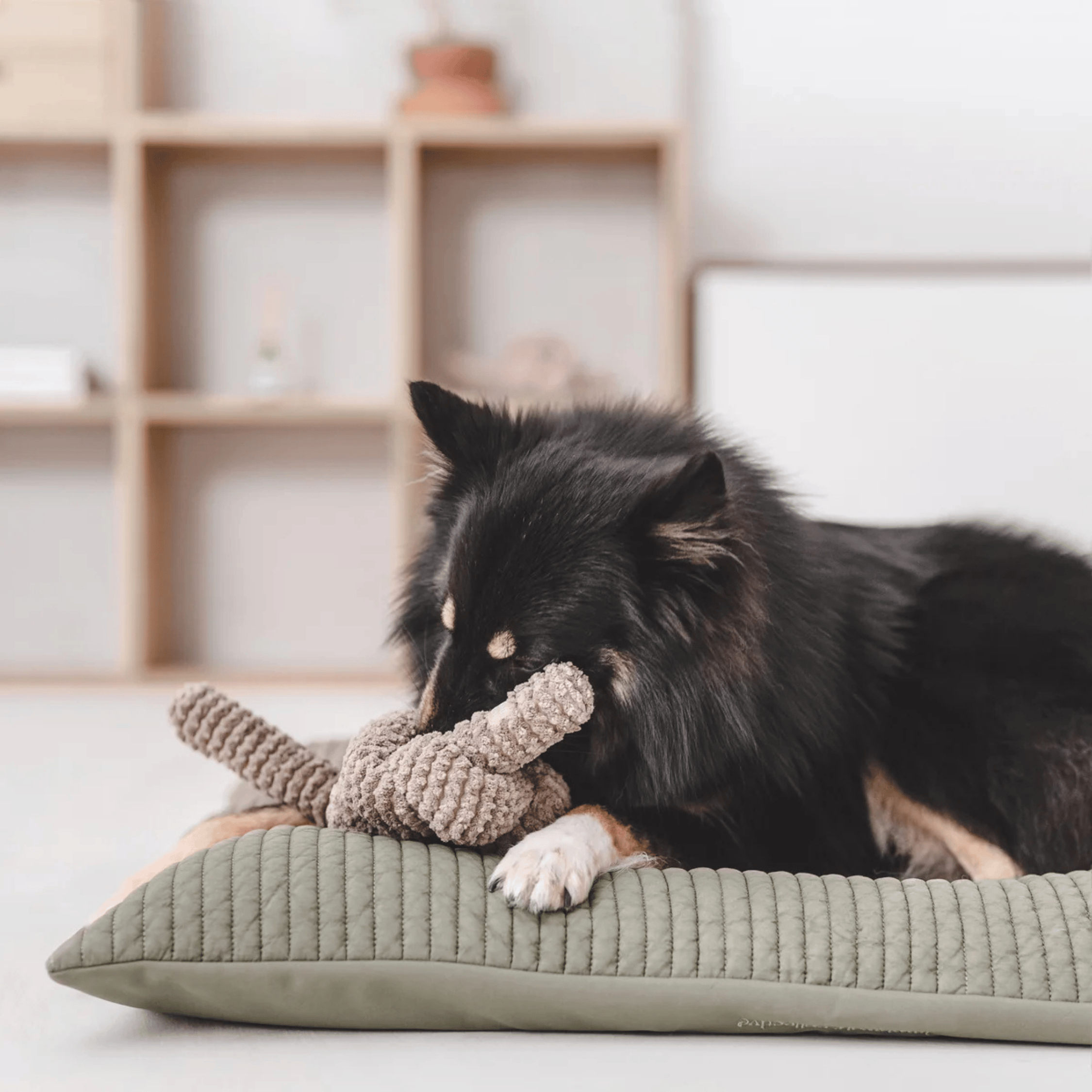 Lambwolf Collective - NOU TAUPE