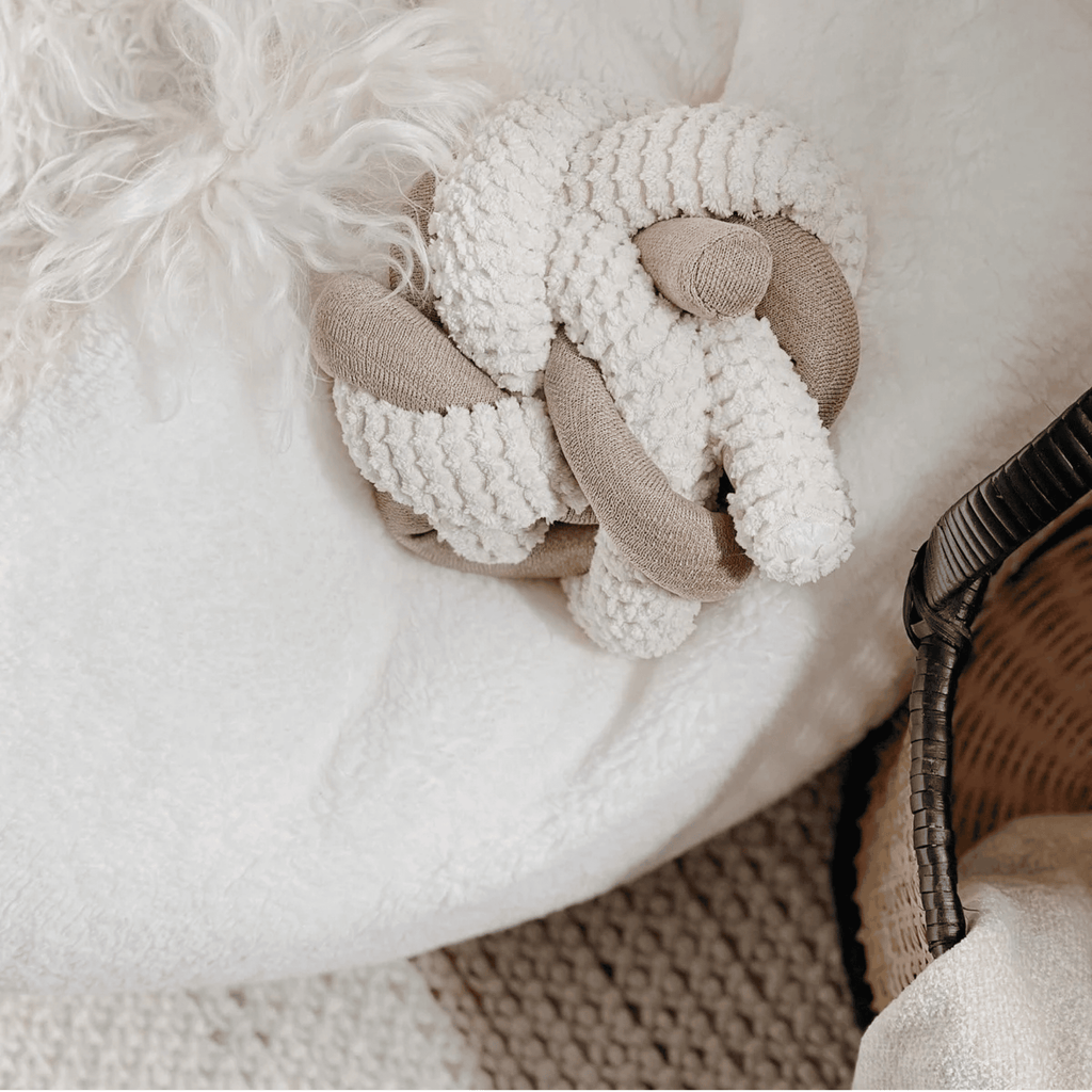 Lambwolf Collective - NOU CREAM