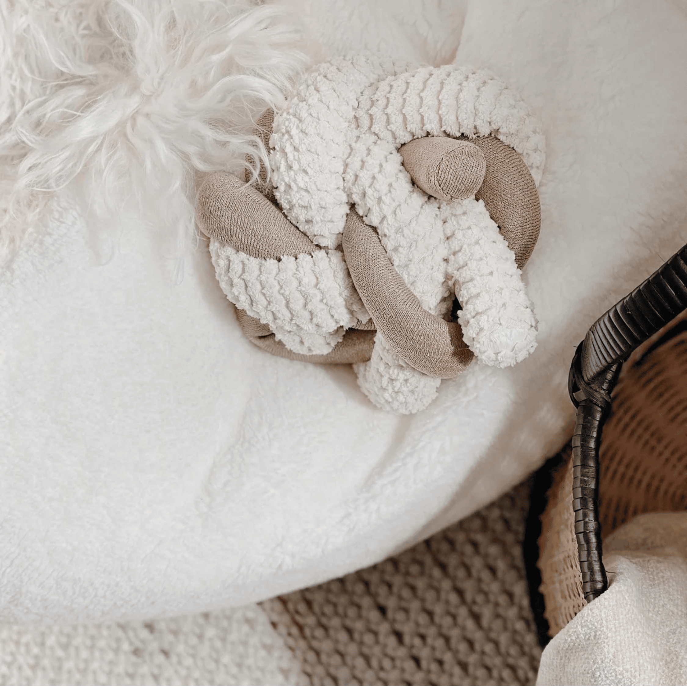 Lambwolf Collective - NOU CREAM