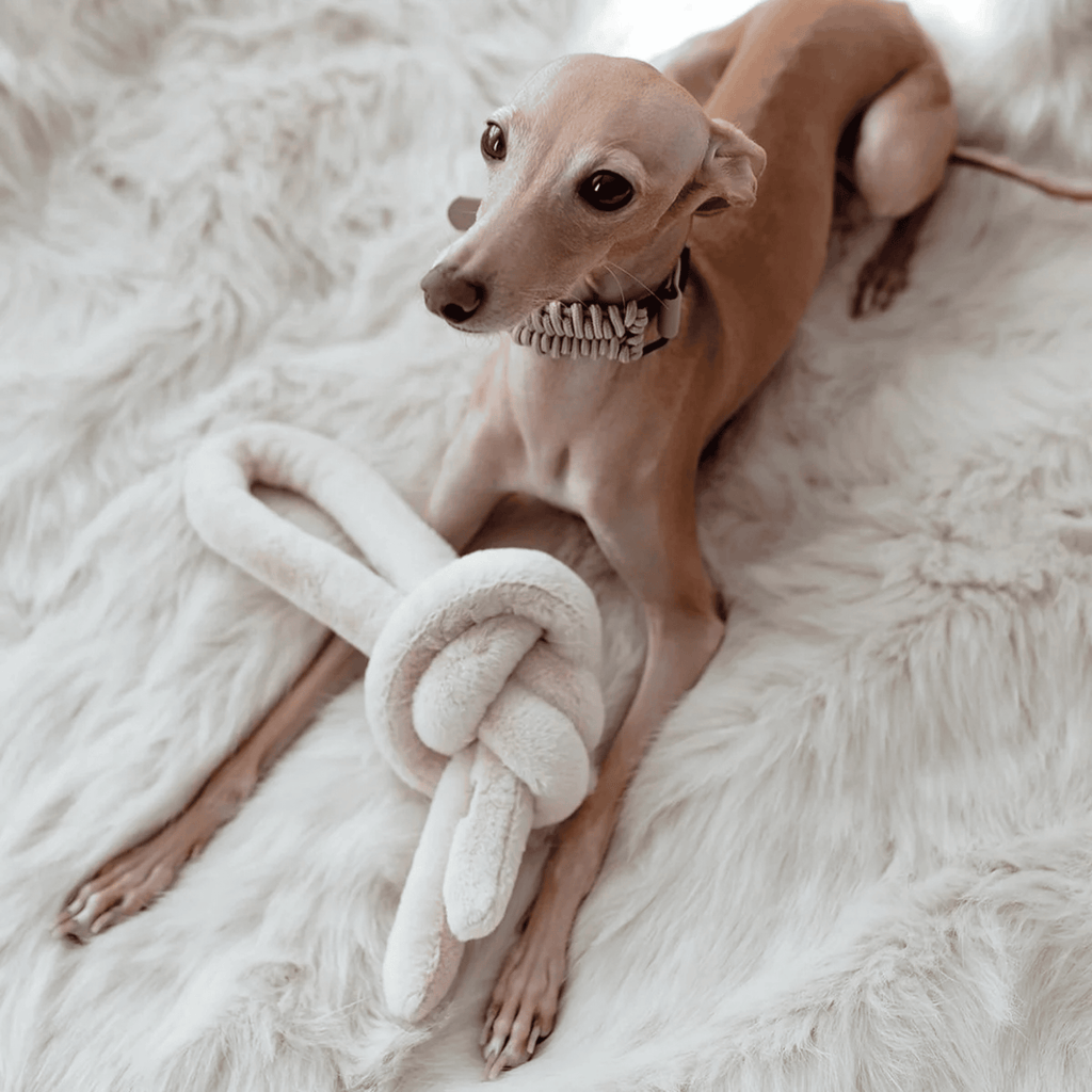 Lambwolf Collective - NOUNOUNOU PEARL