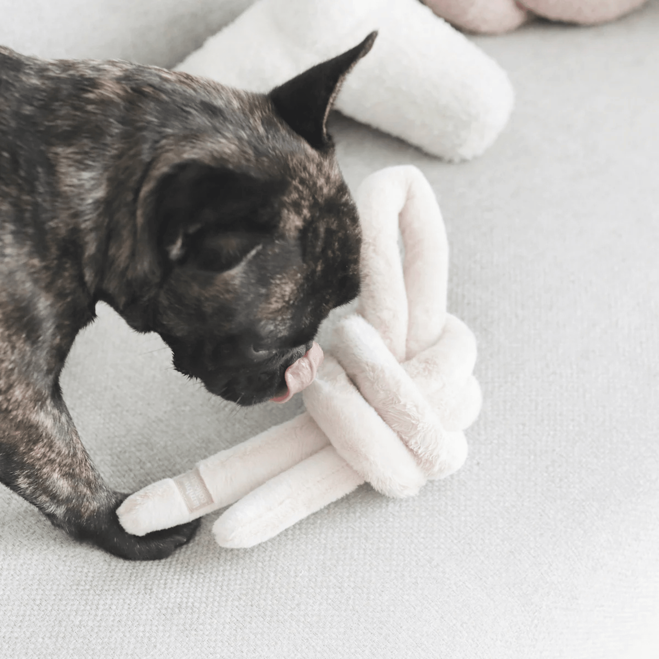 Lambwolf Collective - NOUNOUNOU PEARL