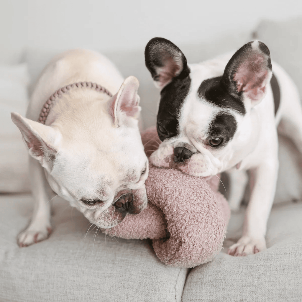 Lambwolf Collective - O NOU MAUVE