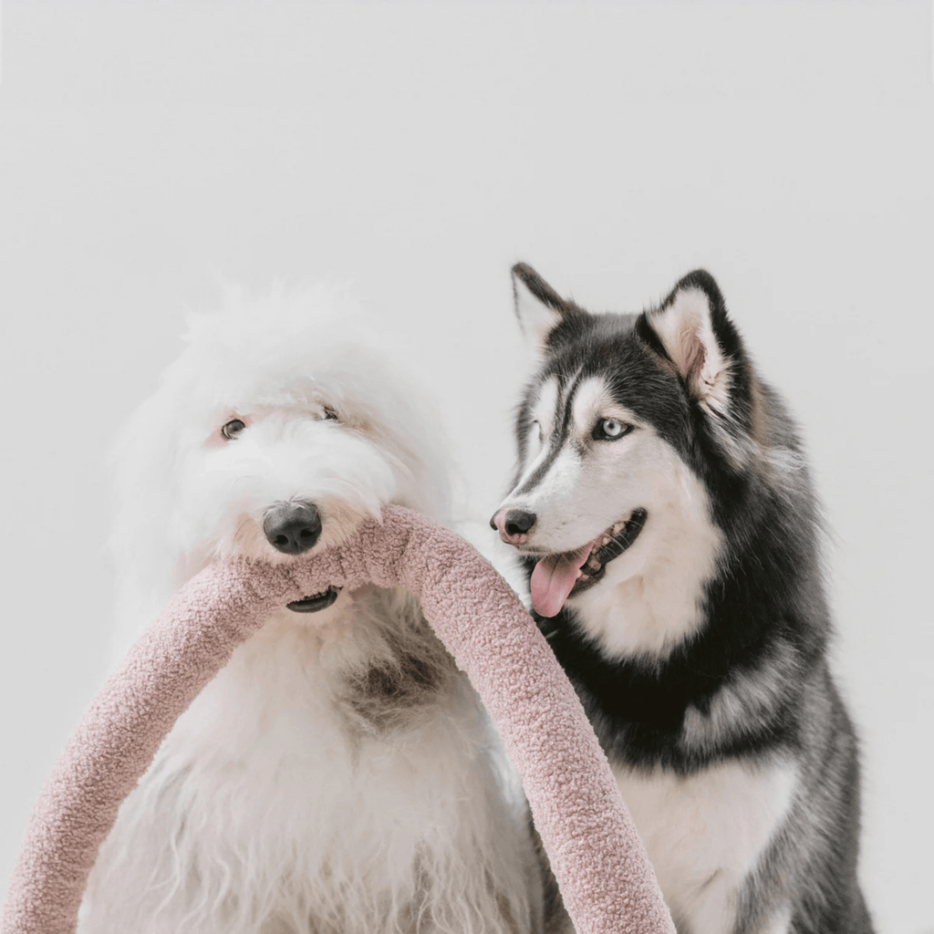 Lambwolf Collective - O NOU MAUVE