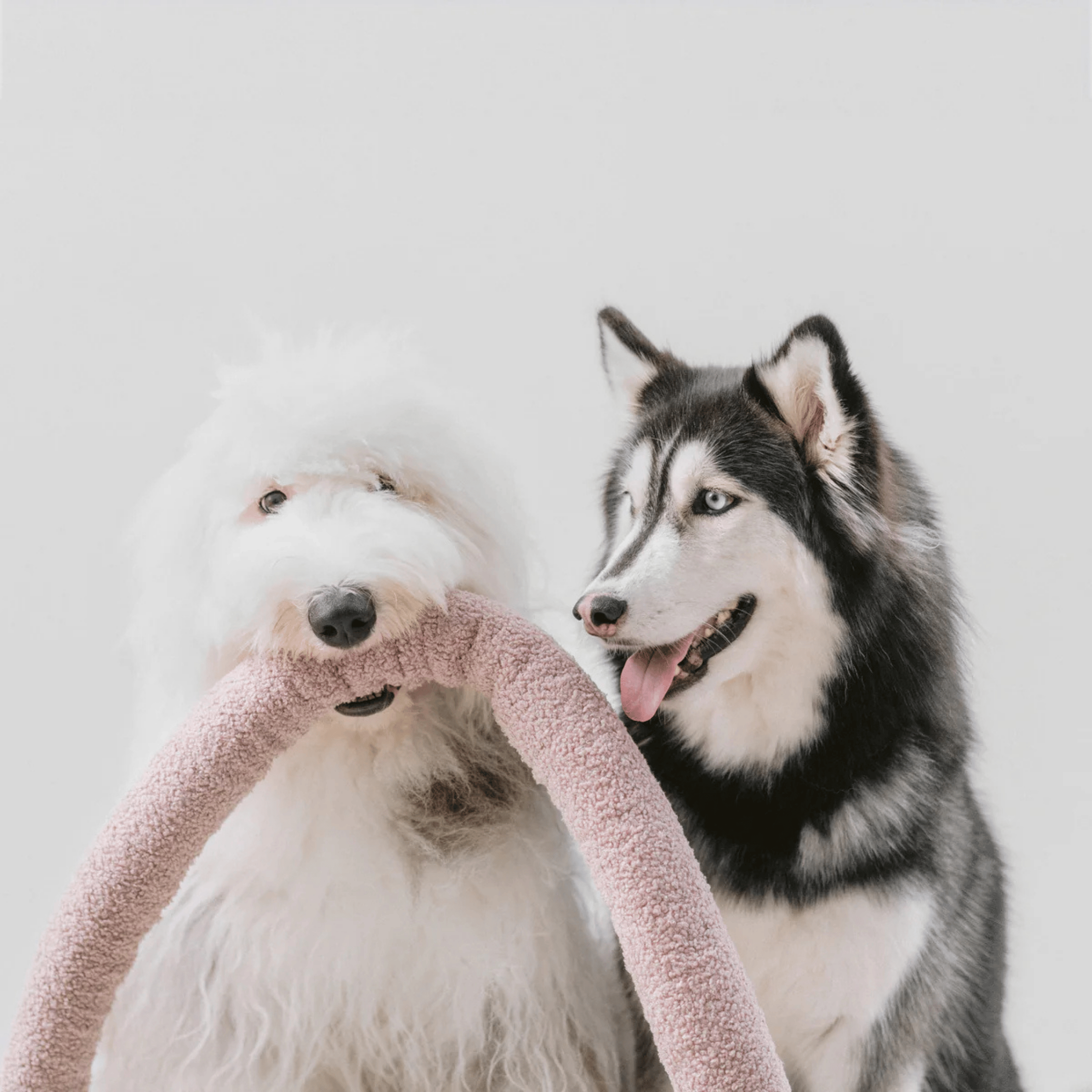 Lambwolf Collective - O NOU MAUVE