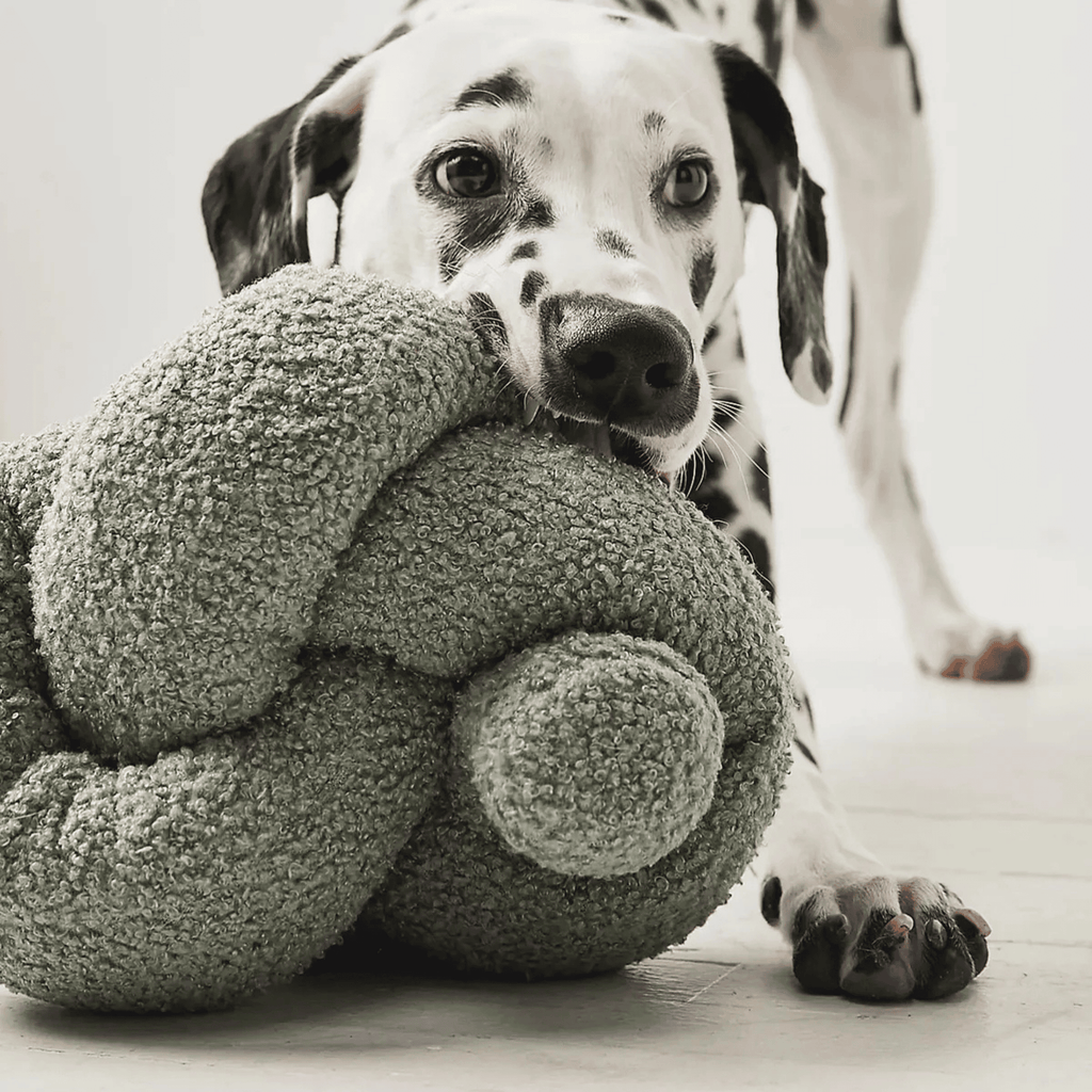 Lambwolf Collective - O NOU SAGE