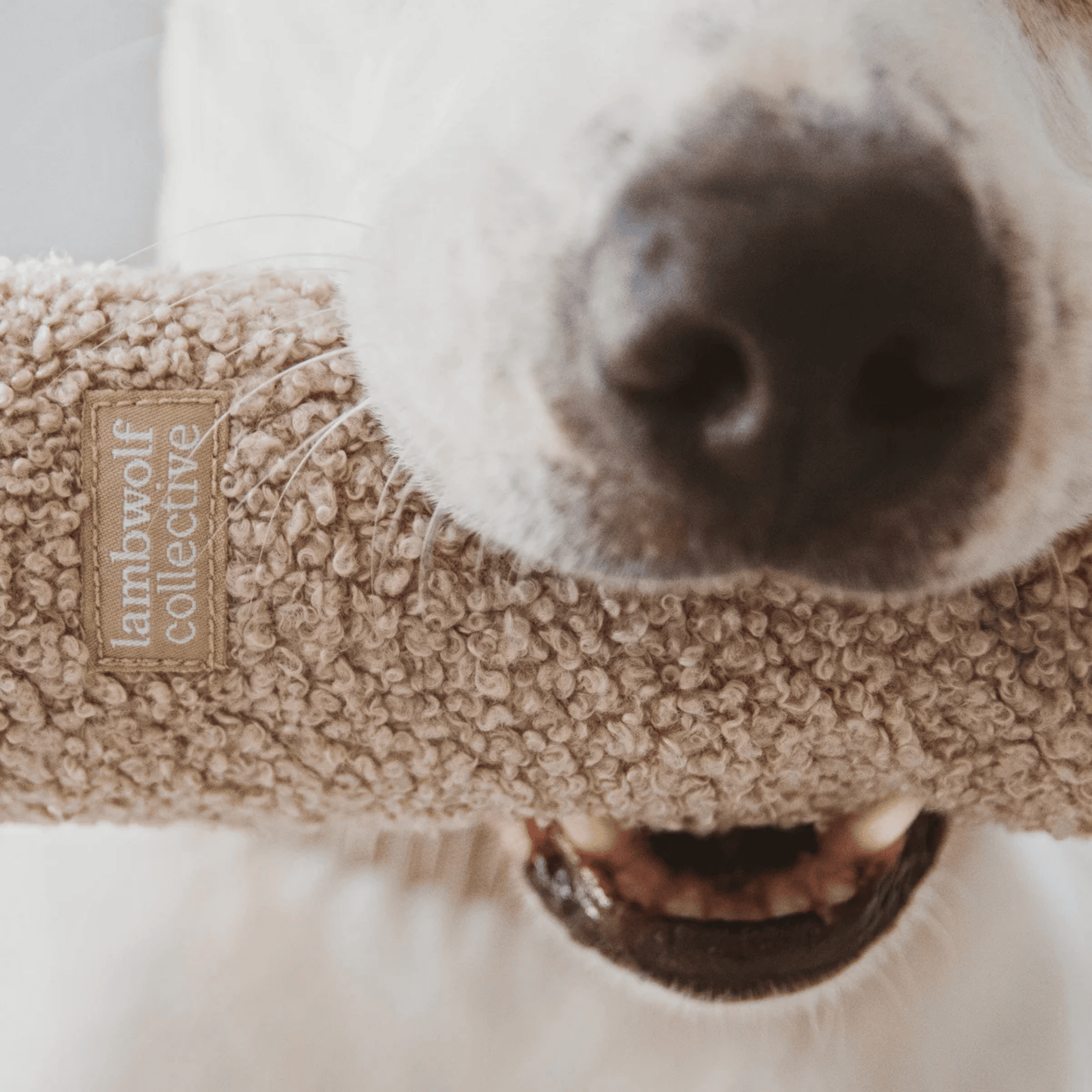 Lambwolf Collective - O NOU OAT