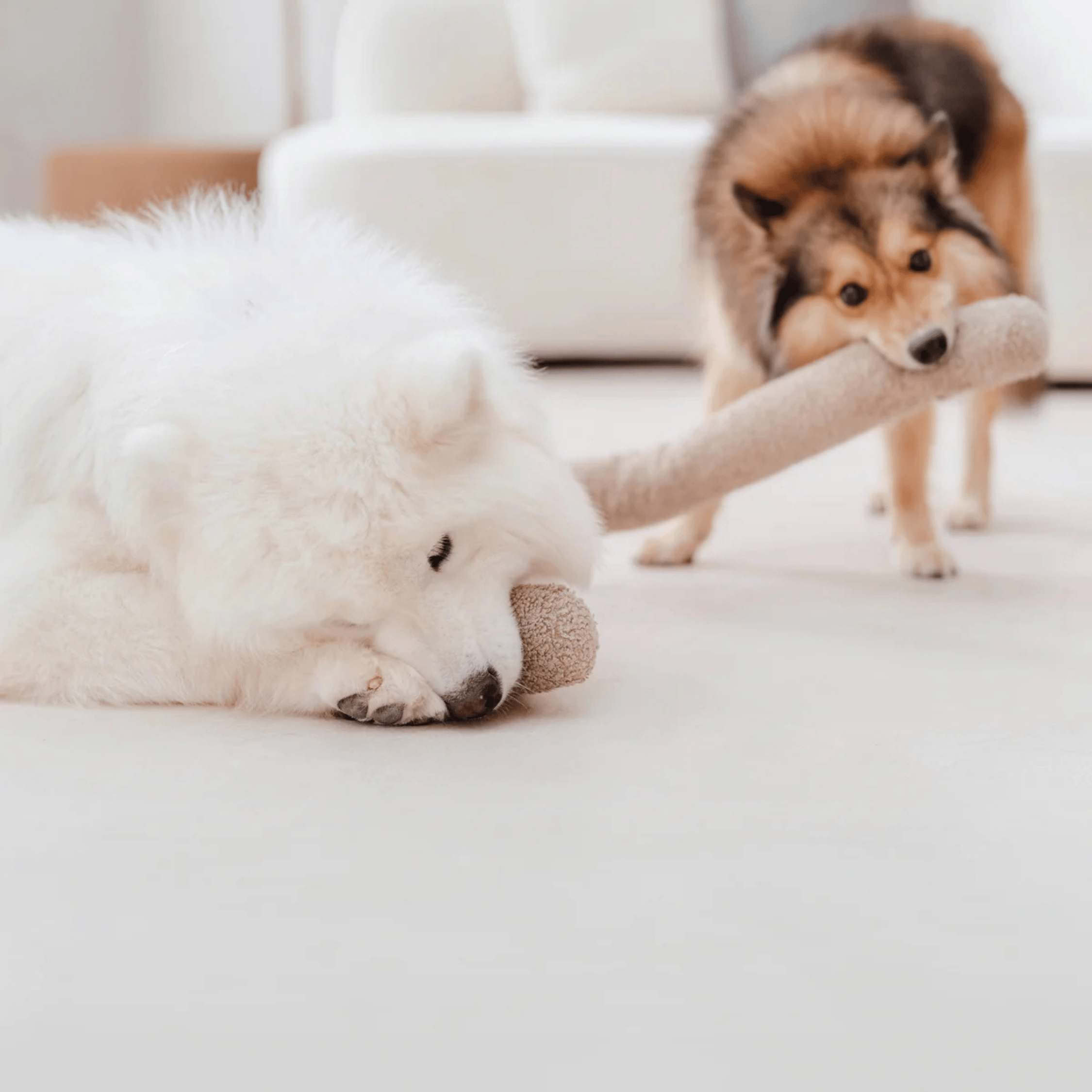 Lambwolf Collective - O NOU MAUVE