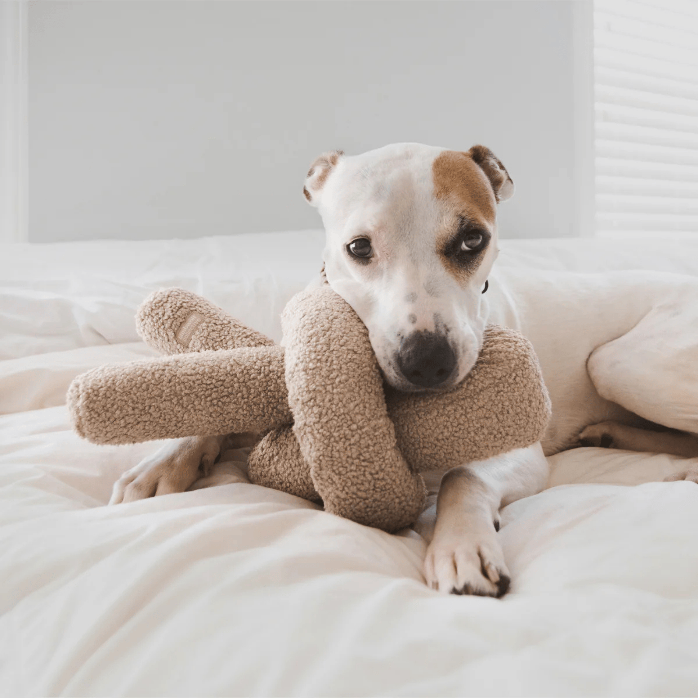 Lambwolf Collective - O NOU OAT