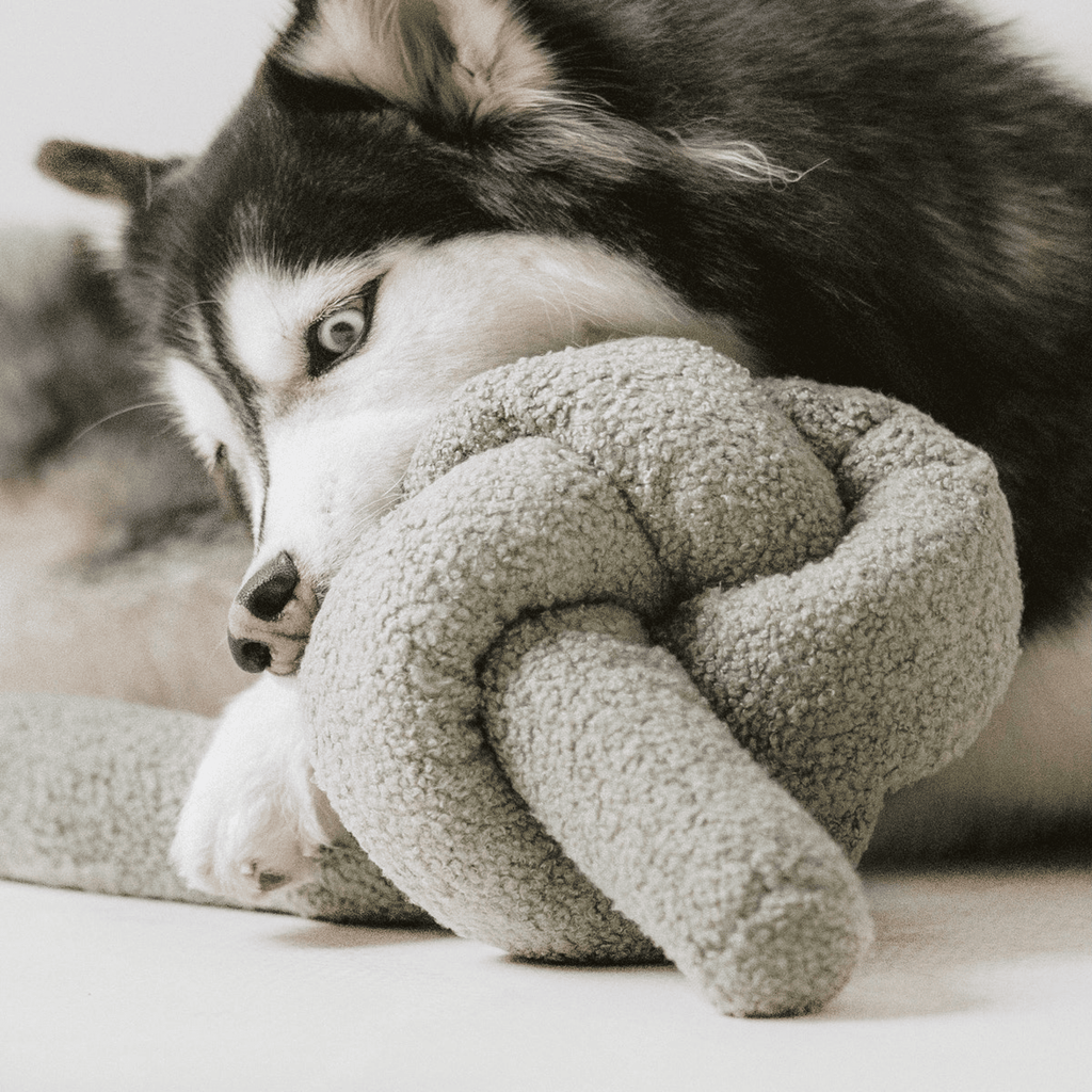 Lambwolf Collective - O NOU SAGE