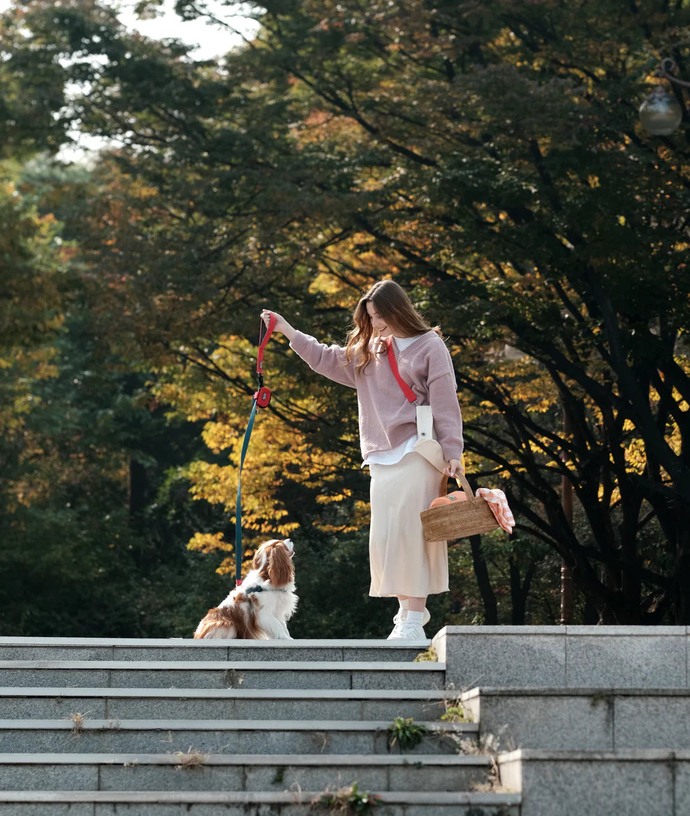 [BOONDOG] Original Leash Aqua Pink