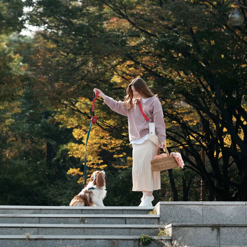 [BOONDOG] Original Leash Yellow