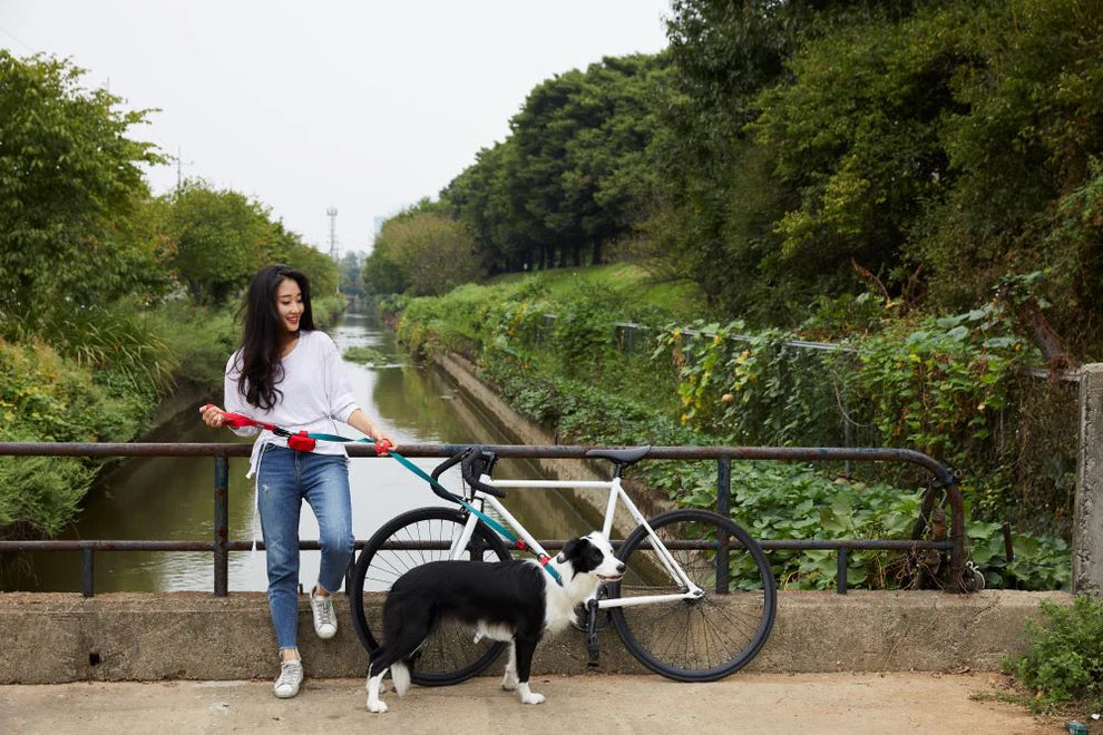 [BOONDOG] Original Leash Green