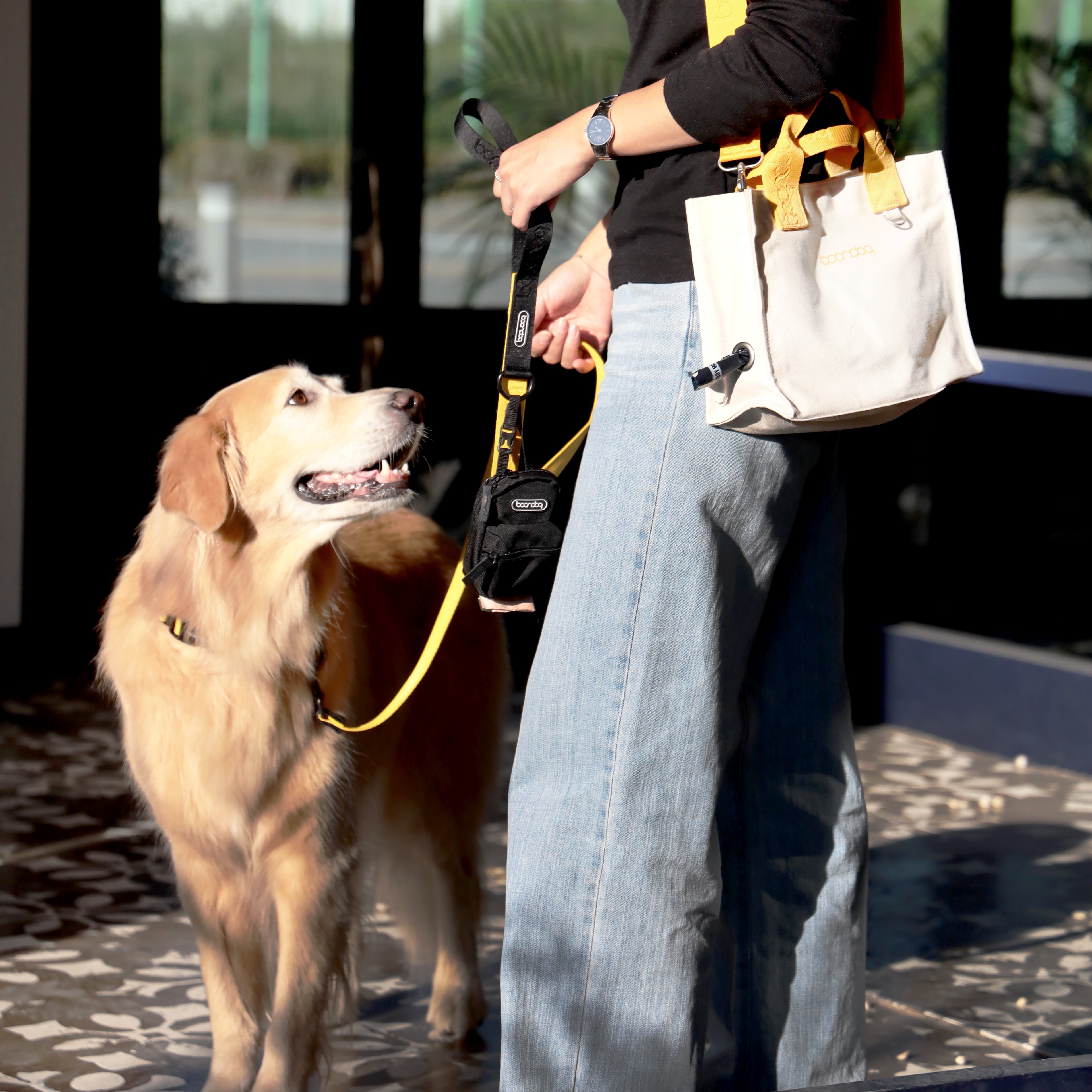 [BOONDOG] Original Leash Purple Lemon