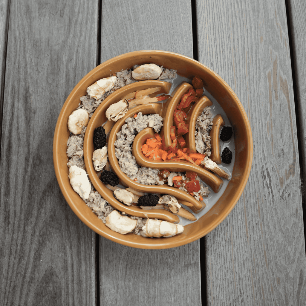 [WAVE] Slow Feeder Dog Bowls - Orange S