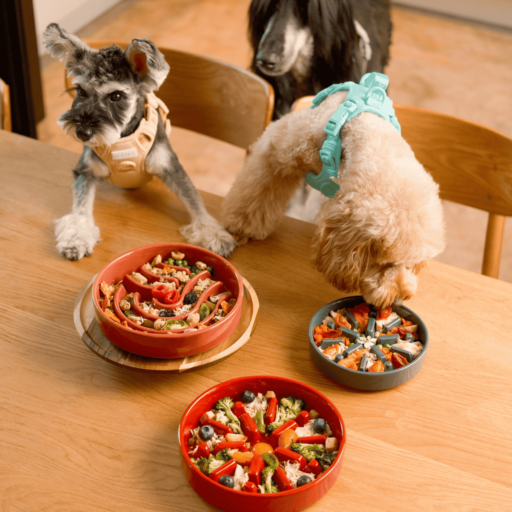 [WAVE] Slow Feeder Dog Bowls - Pink M