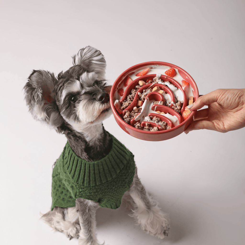 [WAVE] Slow Feeder Dog Bowls - Pink S