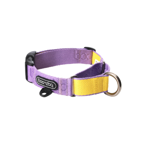 [BOONDOG] Original Martingale Collar Purple Lemon