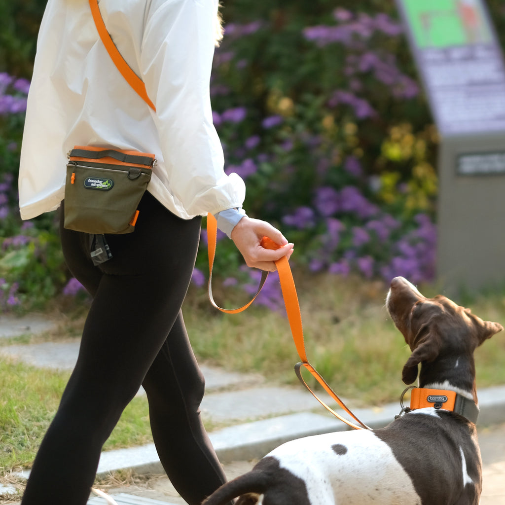 [BOONDOG] Play Leash 2.0 Red