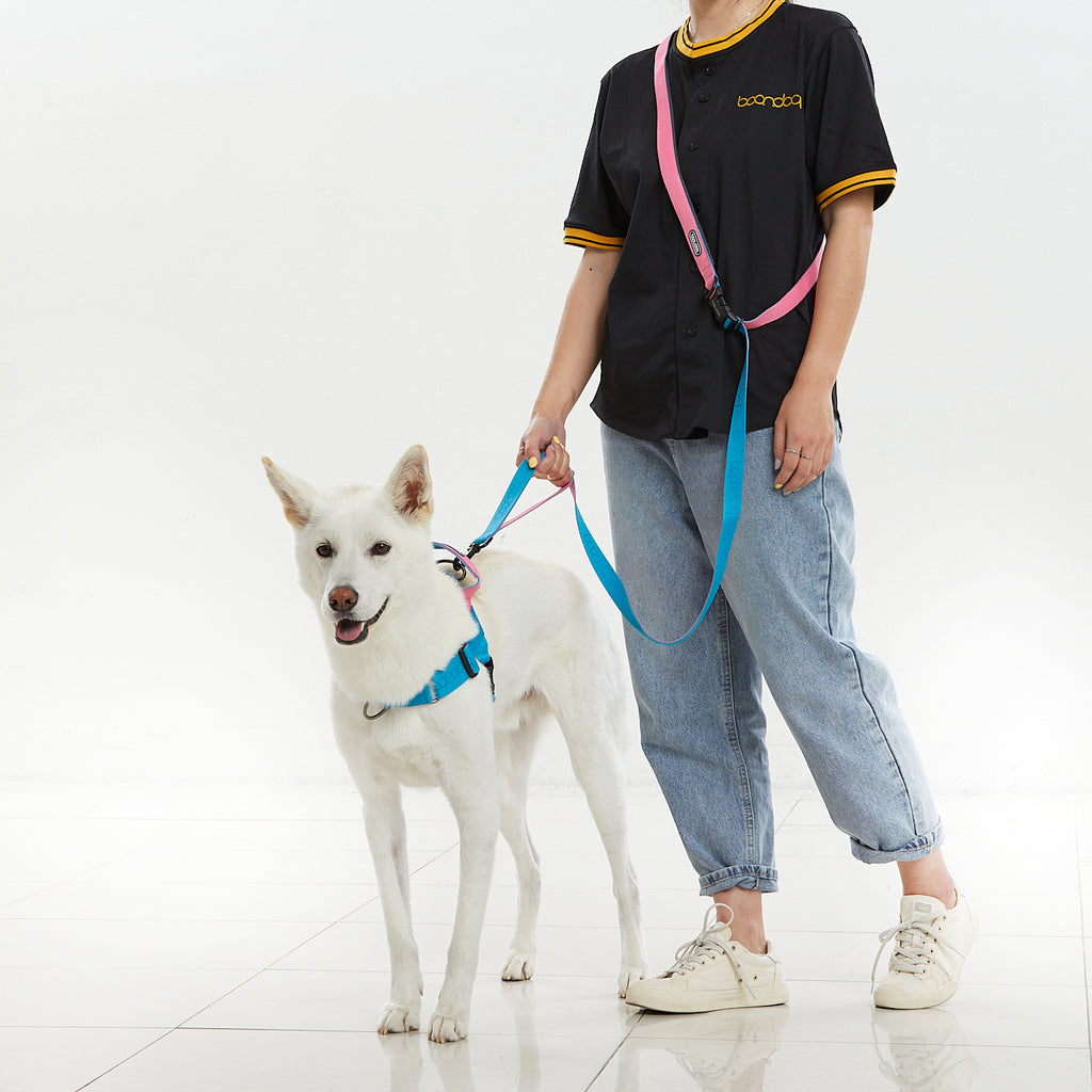 [BOONDOG] Play Leash 2.0 Aqua Pink