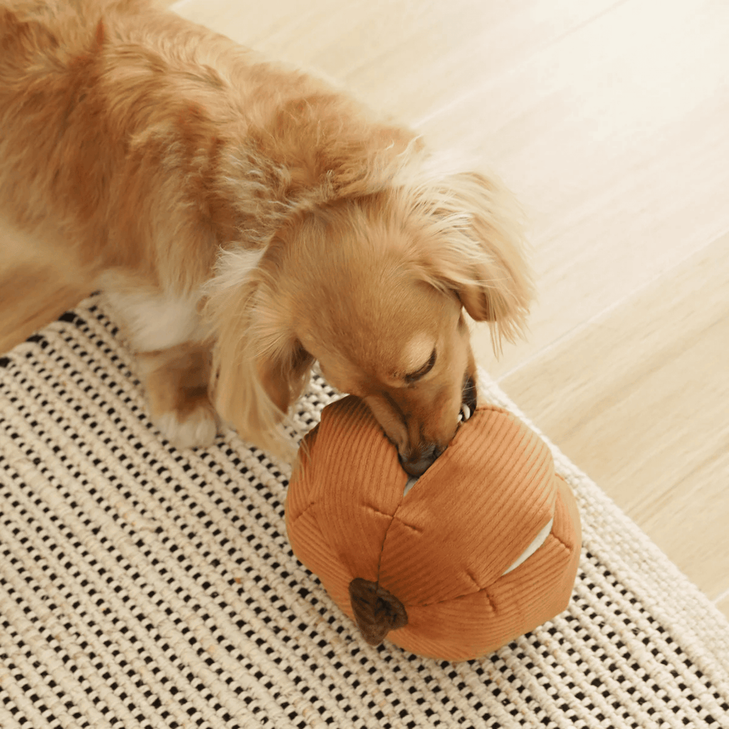 Lambwolf Collective - CINDERELLA