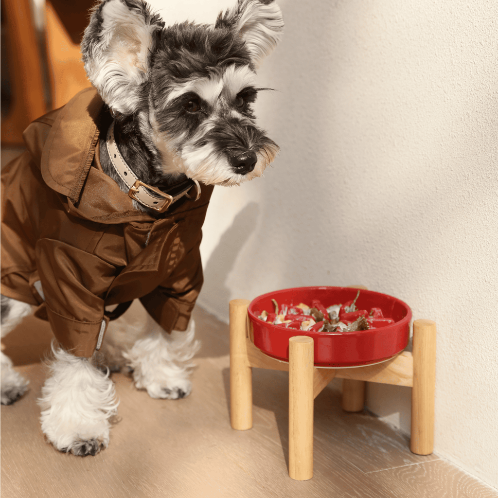 [SET SPARK] Slow Feeder Dog Bowls - Red S