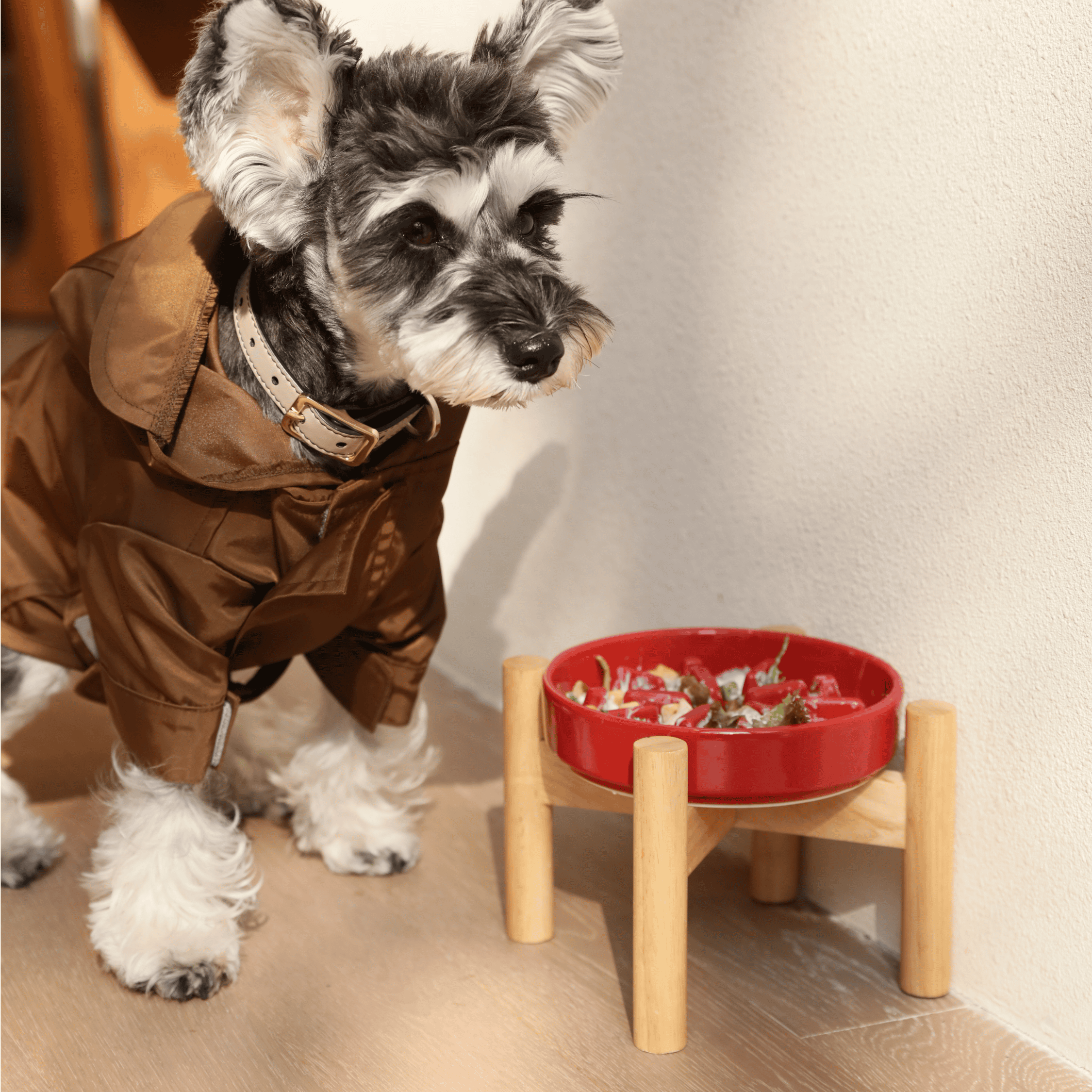 [SET SPARK] Slow Feeder Dog Bowls - Red S