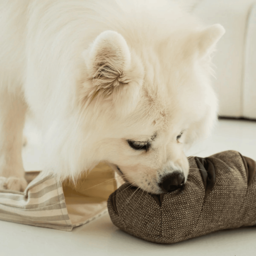 Lambwolf Collective - RYE