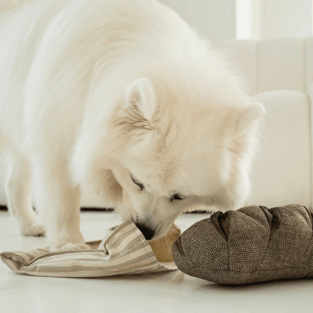 Lambwolf Collective - RYE