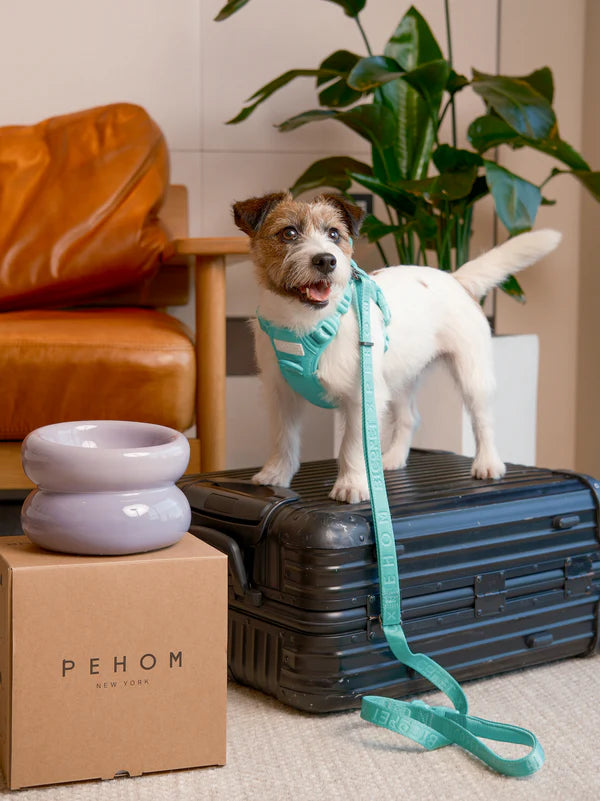 PADDED ACTIVE PET LEASH - MINT GREEN