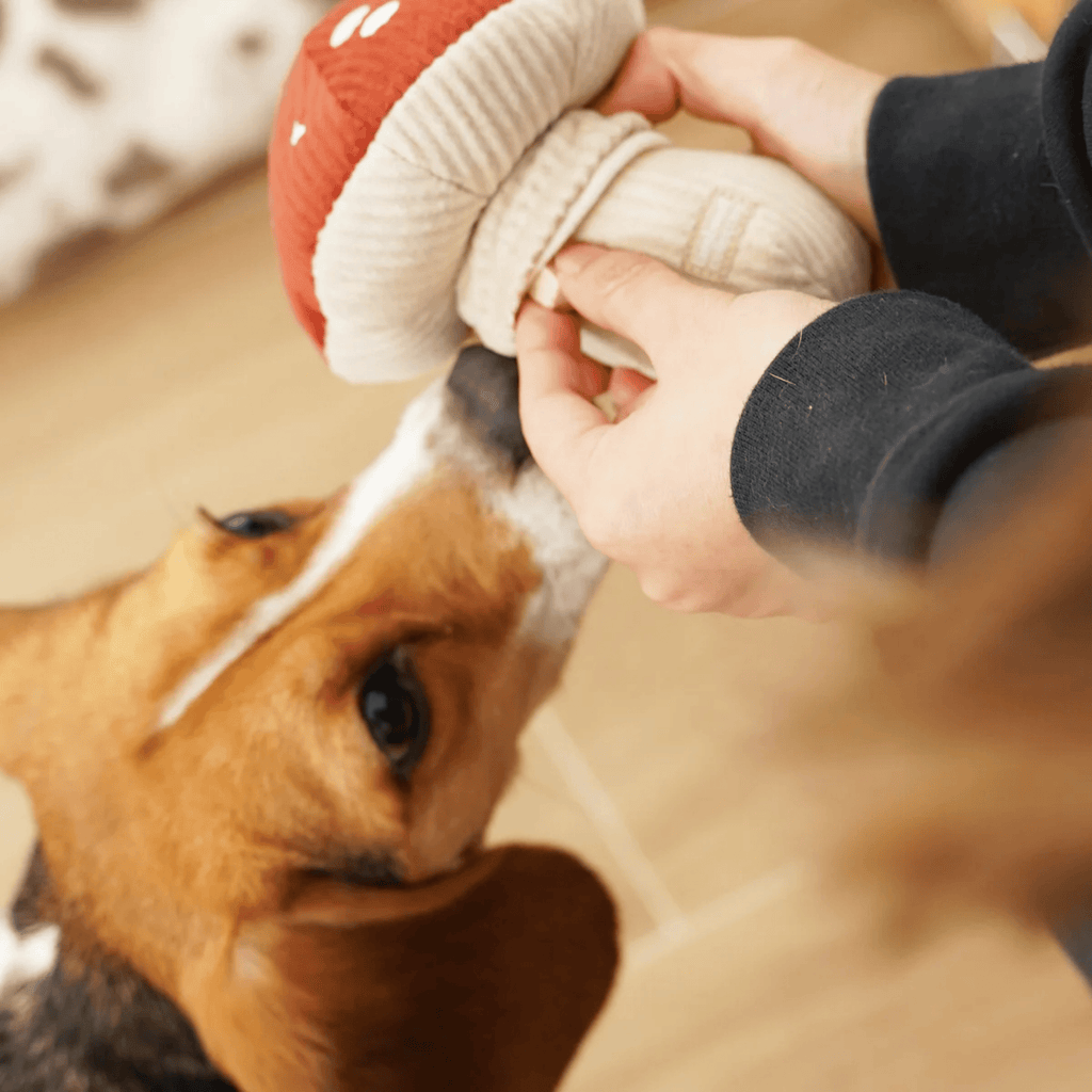 Lambwolf Collective - TOXIC SHROOM