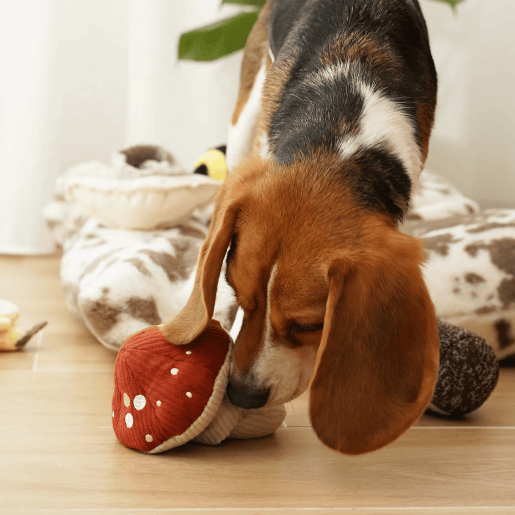 Lambwolf Collective - TOXIC SHROOM