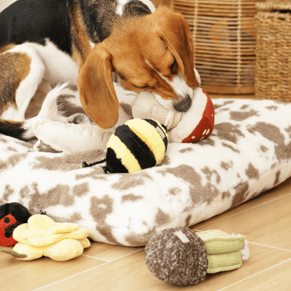 Lambwolf Collective - TOXIC SHROOM