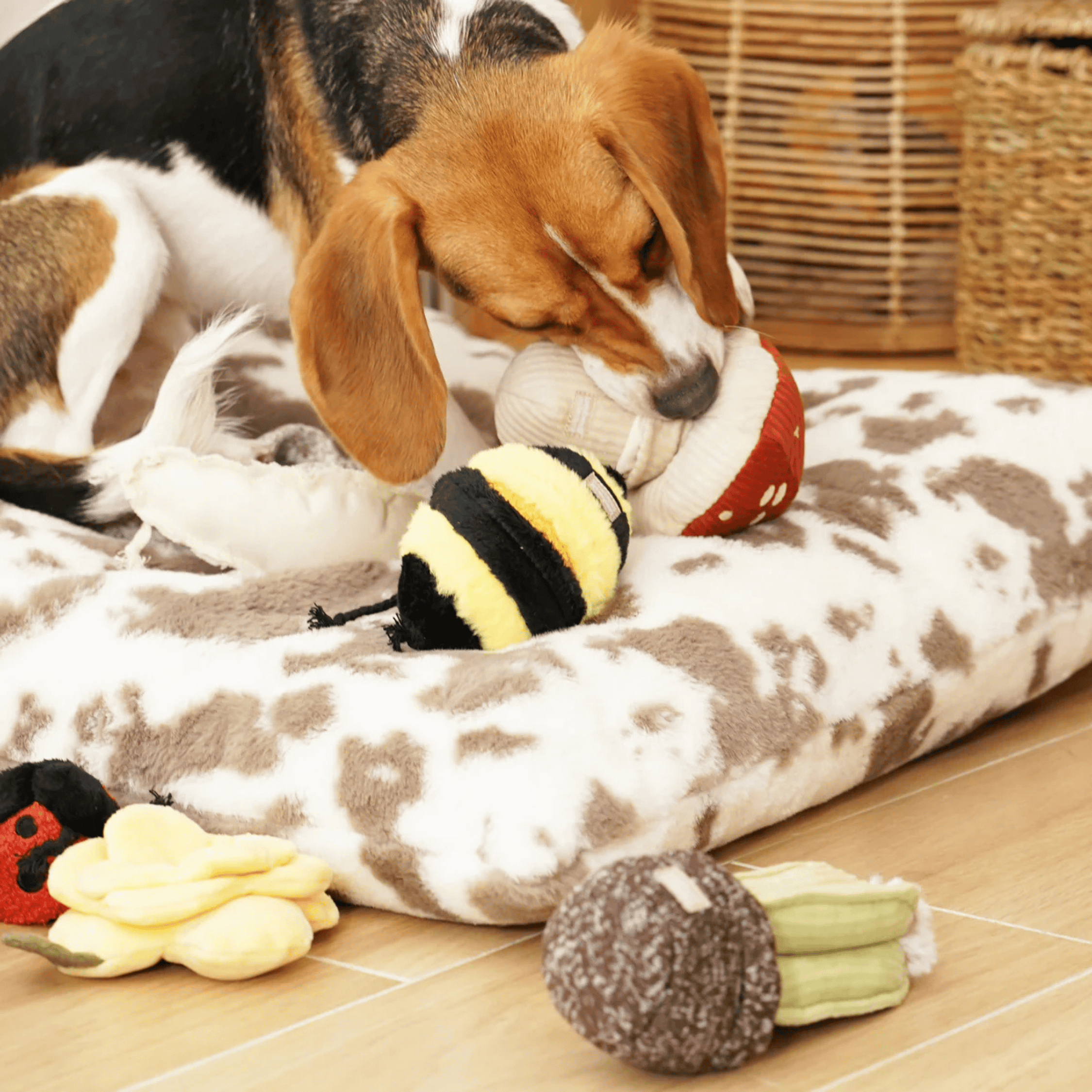 Lambwolf Collective - TOXIC SHROOM