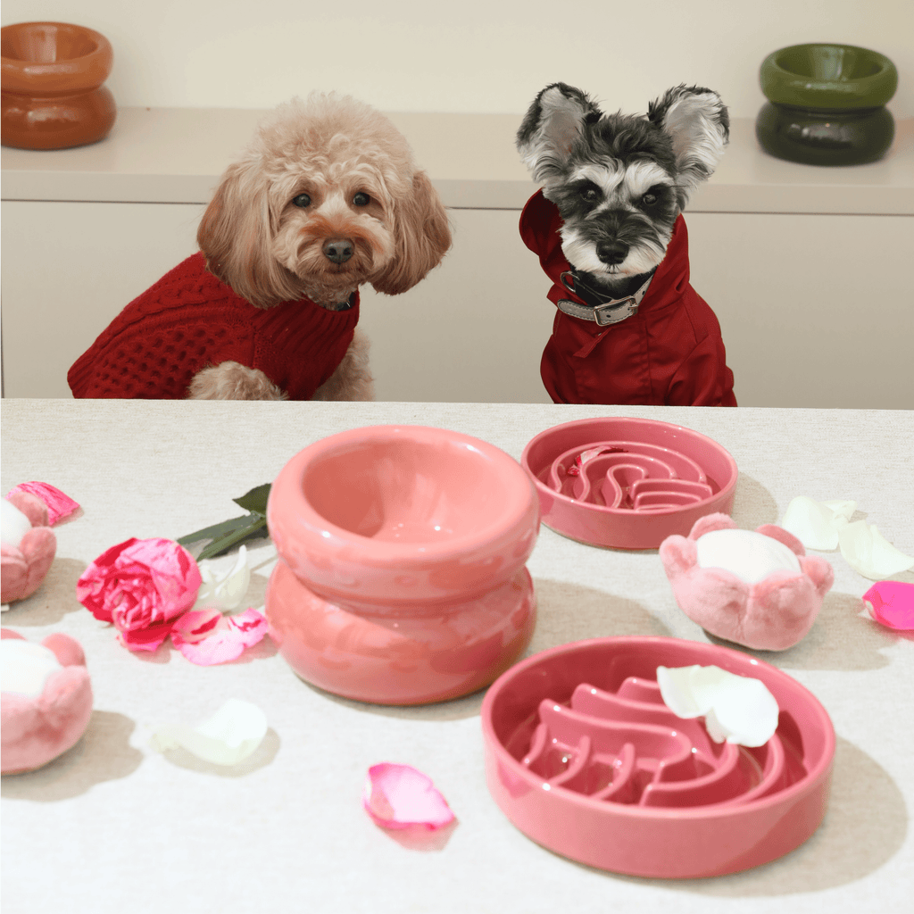 [WAVE] Slow Feeder Dog Bowls - Pink S