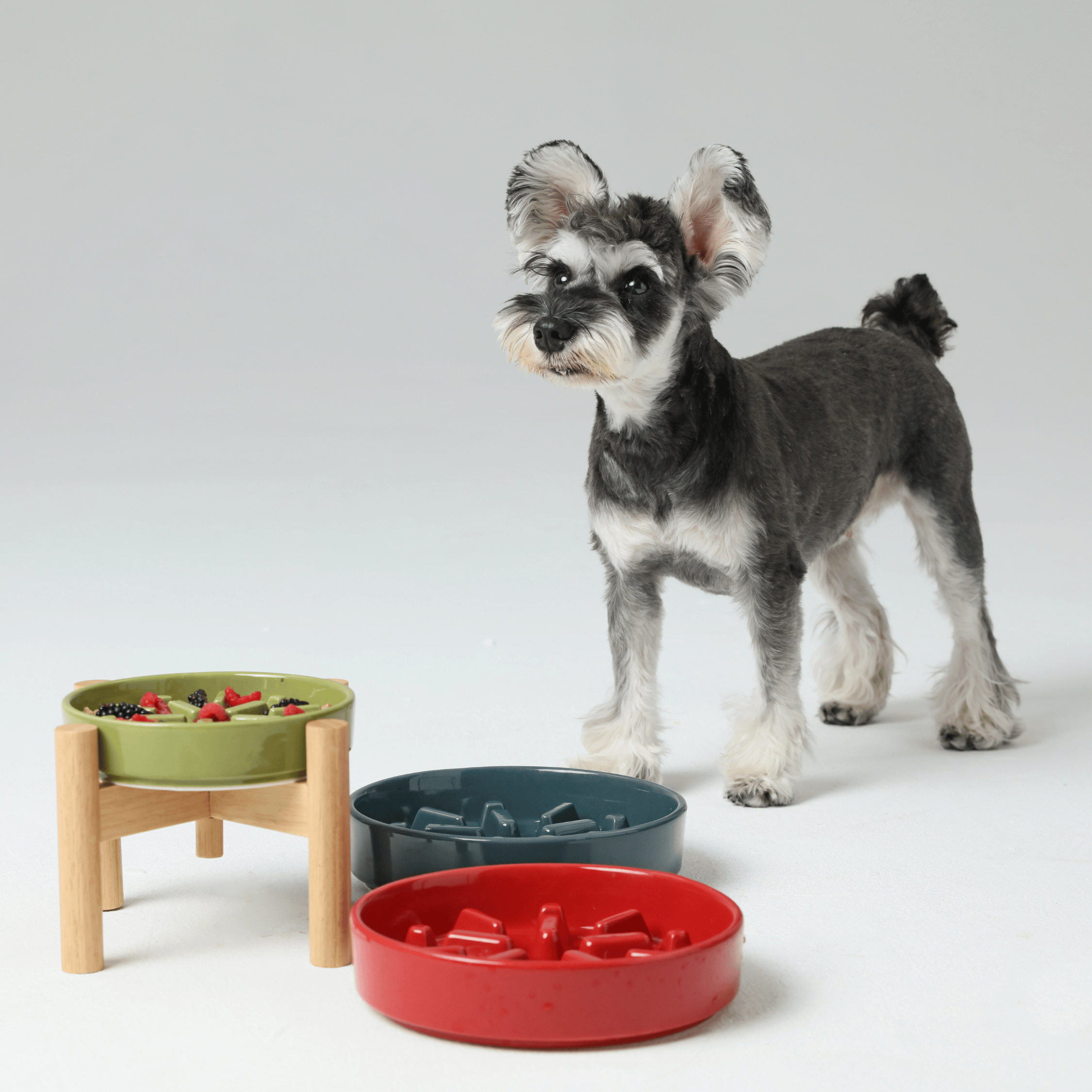 [SET SPARK] Slow Feeder Dog Bowls - Green M