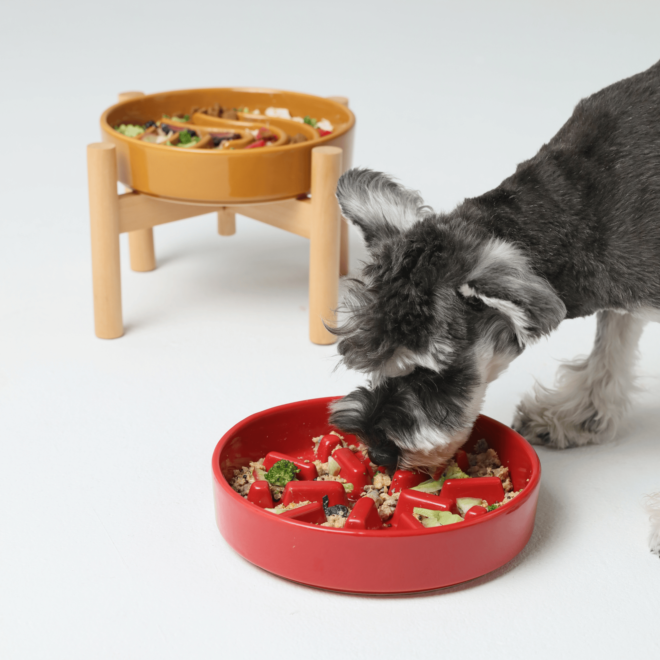 [SET WAVE] Slow Feeder Dog Bowls - Orange M