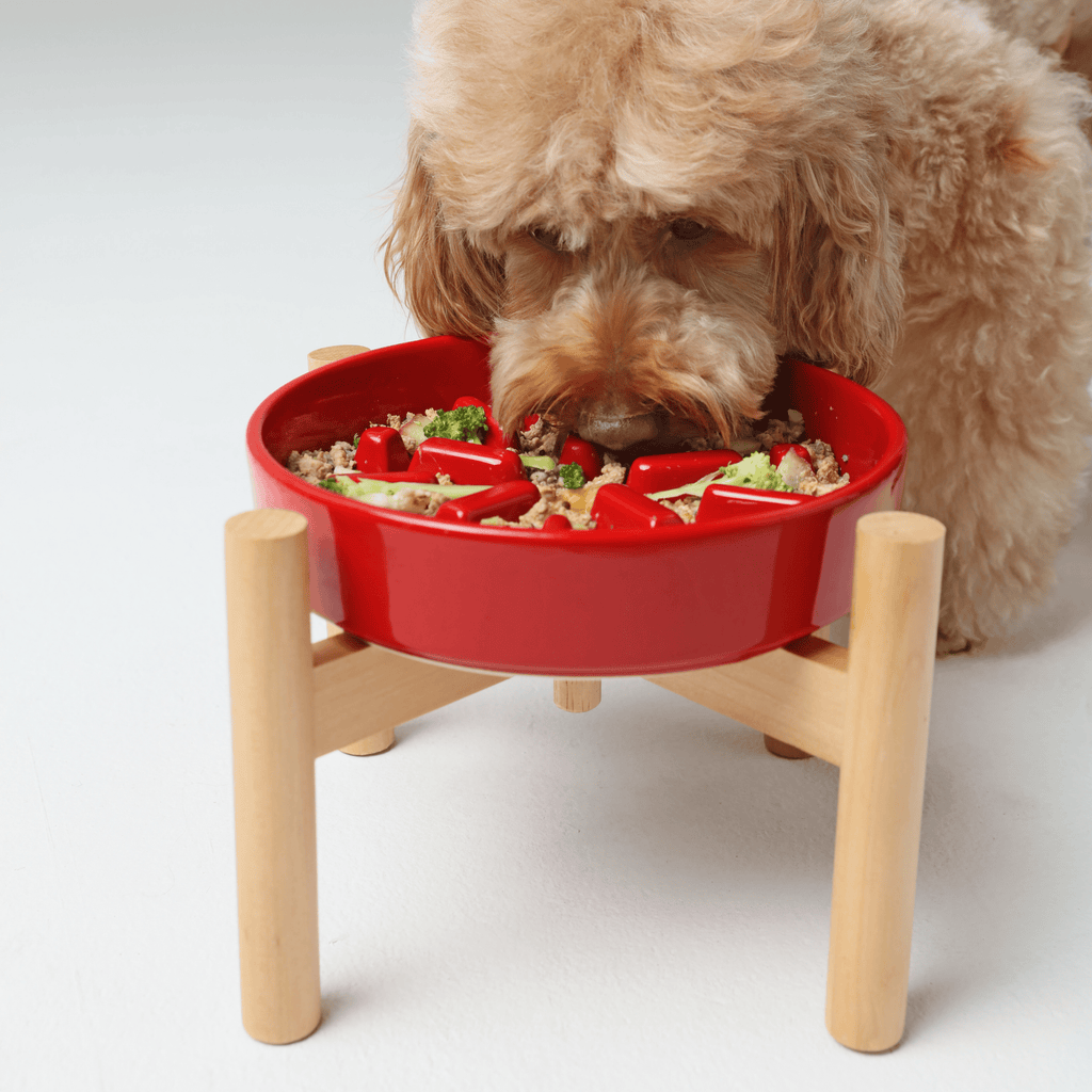 [SET SPARK] Slow Feeder Dog Bowls - Red S