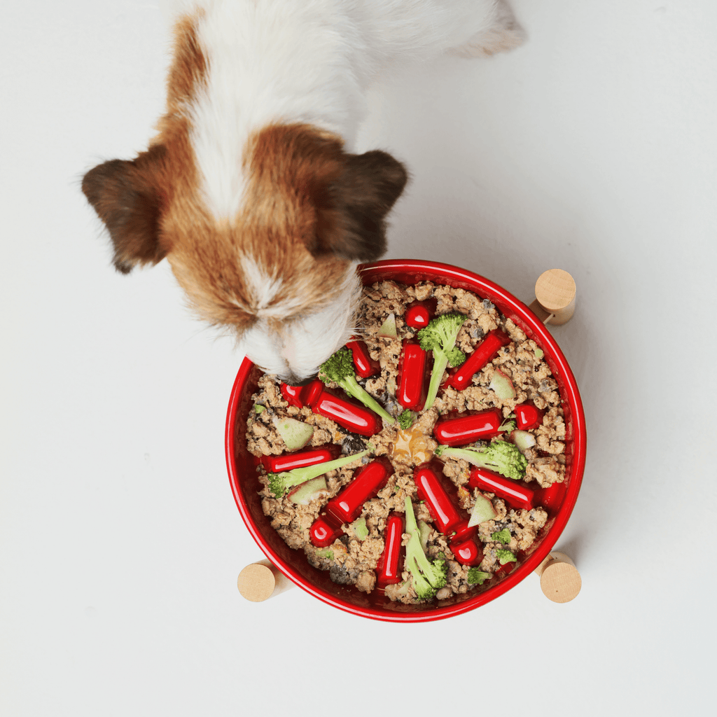 [SET SPARK] Slow Feeder Dog Bowls - Red M