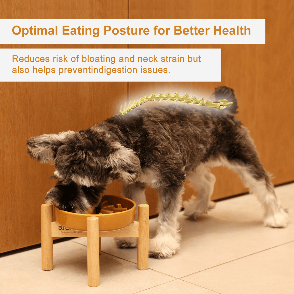 [SET WAVE] Slow Feeder Dog Bowls - Orange M