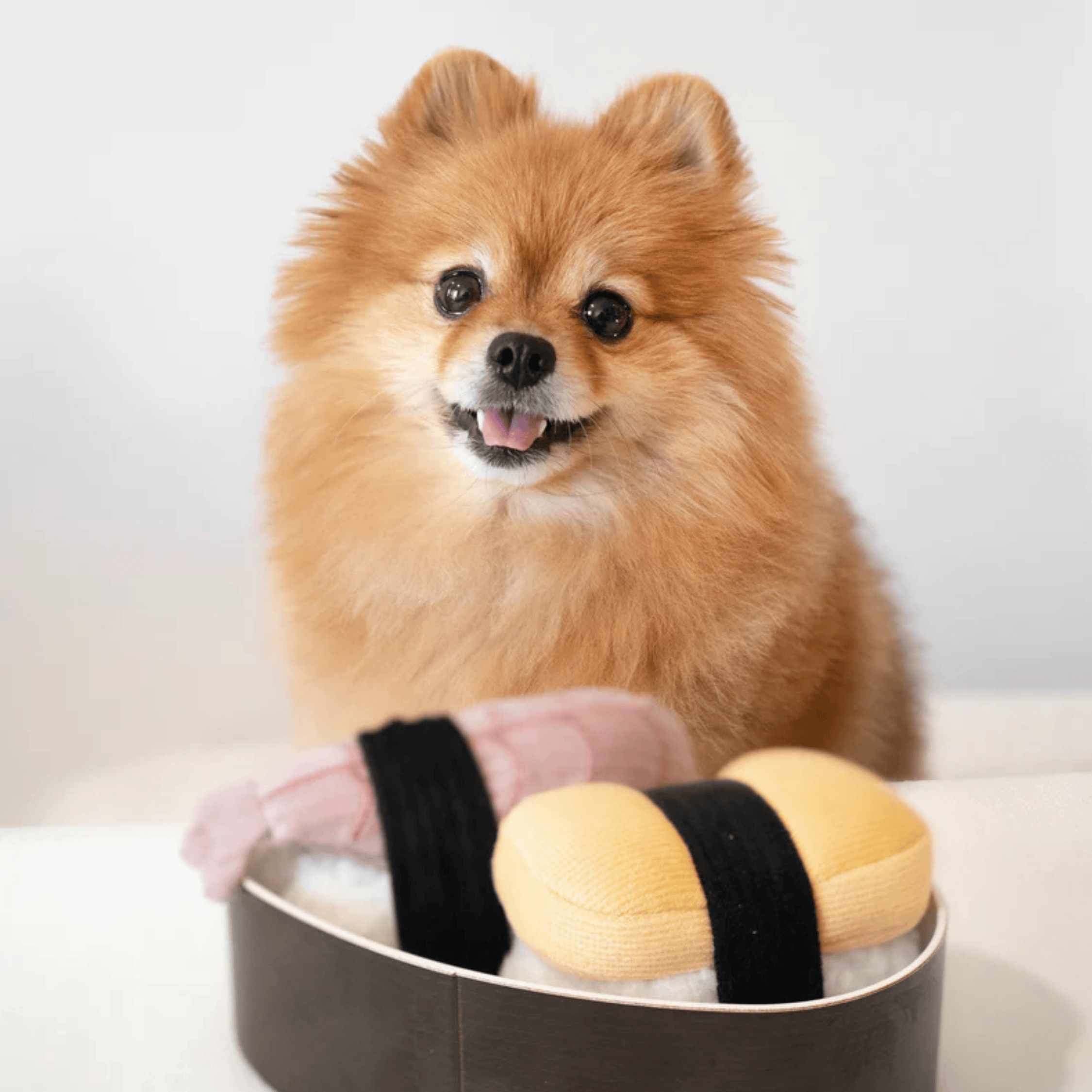 Lambwolf Collective - SUSHI