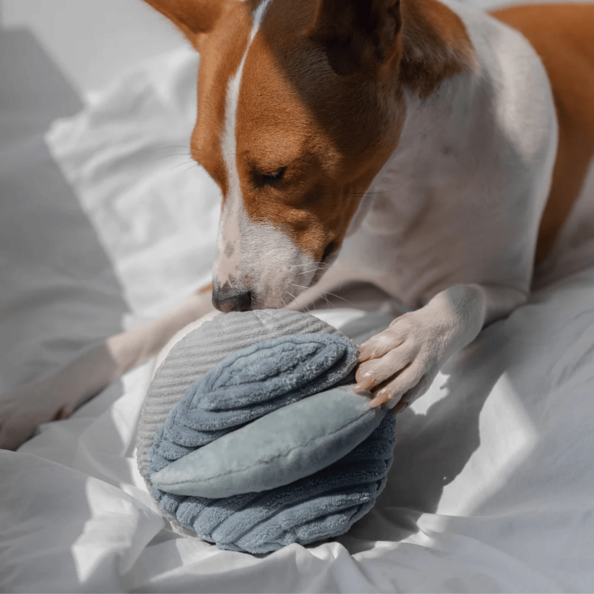 Lambwolf Collective - TOTO MARINE