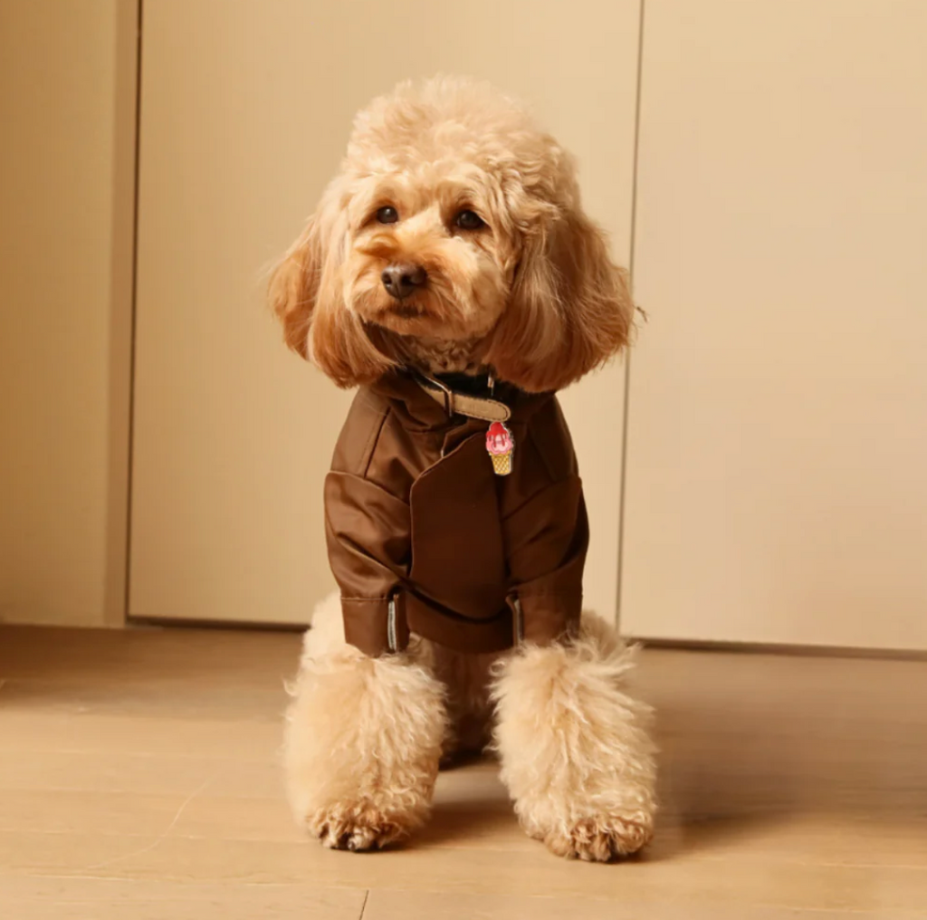 TRIBECA ADJUSTABLE VELCRO RAINCOAT - CHOCO